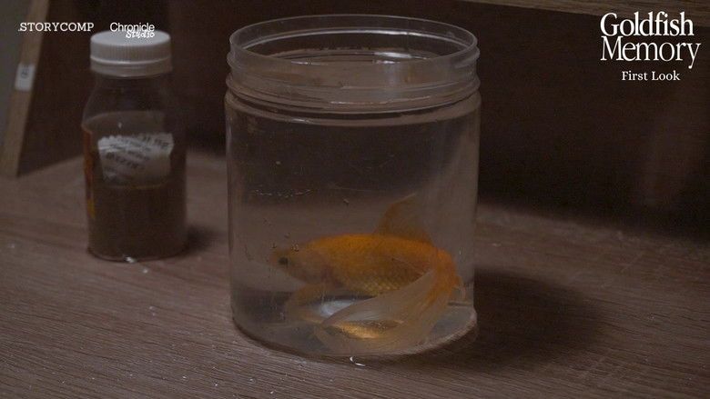 кадр из фильма Goldfish Memory
