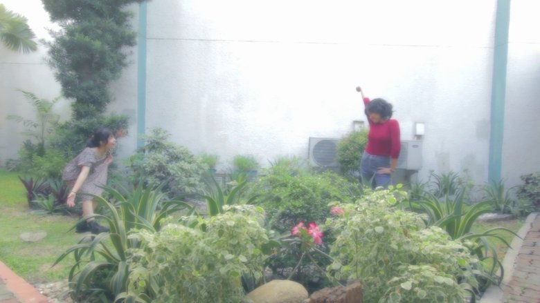 кадр из фильма The Vampire