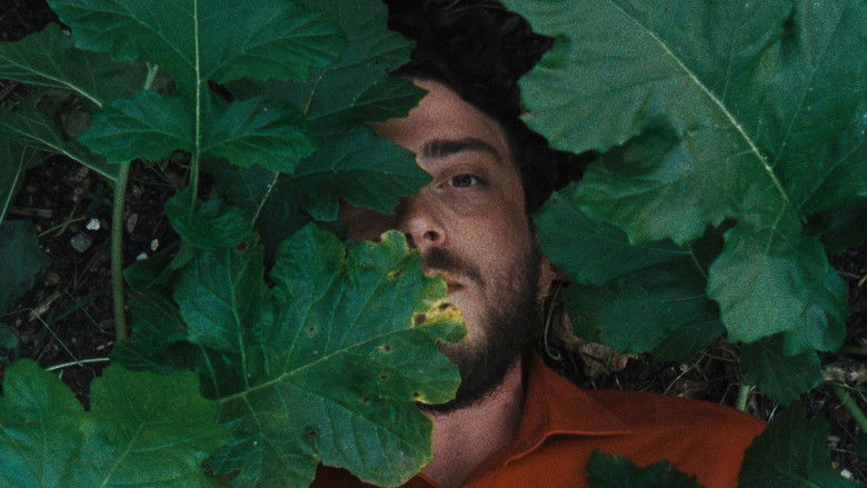 кадр из фильма Метаморфоза птиц