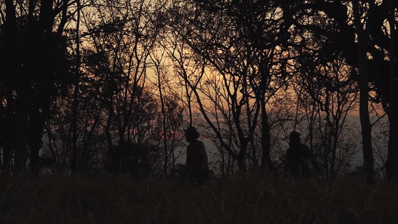 кадр из фильма Terra e Luz