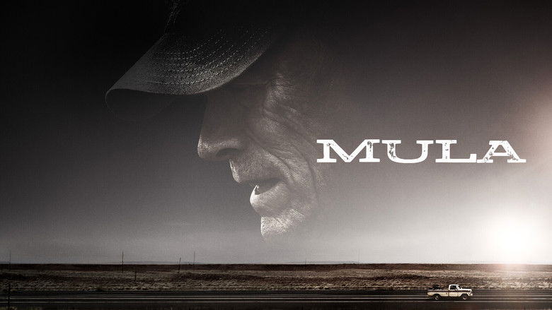 кадр из фильма Наркокурьер