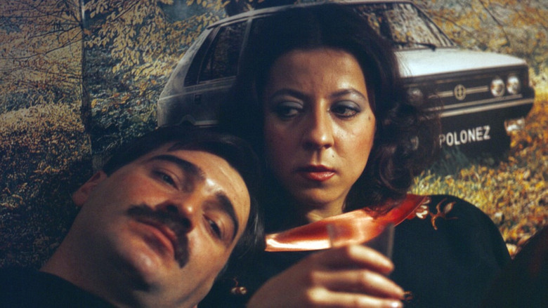 кадр из фильма Sny i marzenia