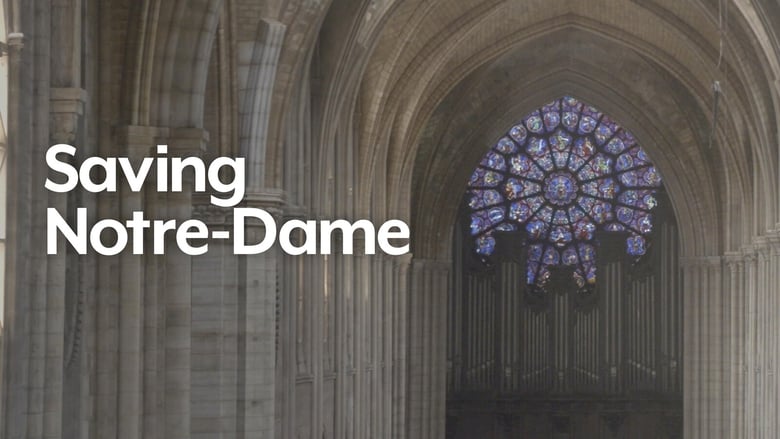 кадр из фильма Saving Notre Dame