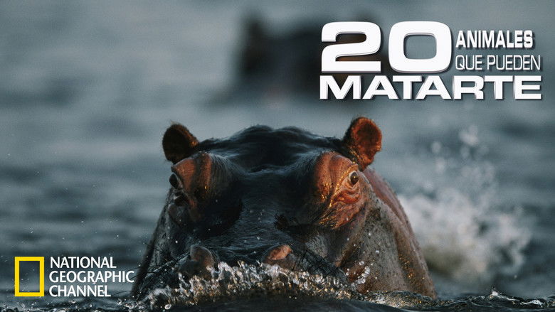 кадр из фильма 20 Animals That Will Kill You