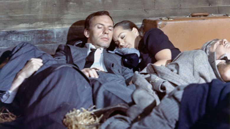 кадр из фильма Поезд