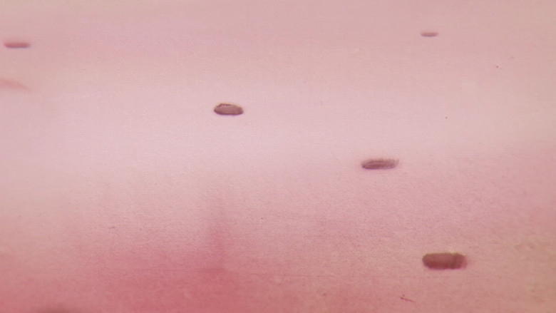 кадр из фильма The Future