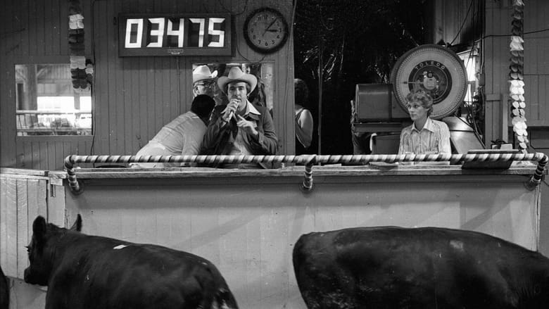 кадр из фильма How Much Wood Would a Woodchuck Chuck: Beobachtungen zu einer neuen Sprache