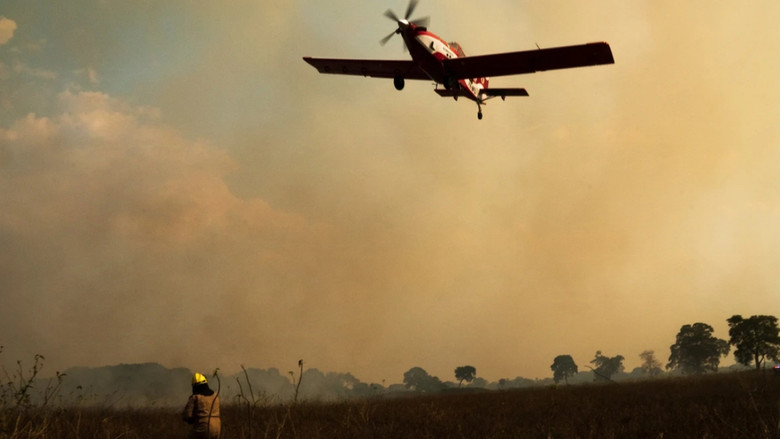 кадр из фильма Sinfonia da Sobrevivência