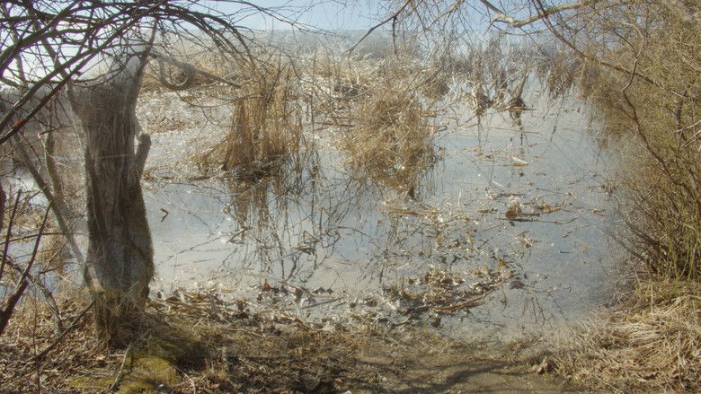 кадр из фильма Pathways