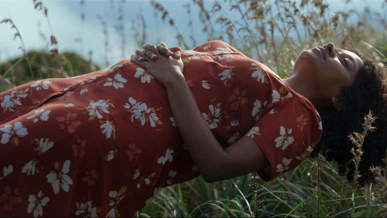 кадр из фильма Spying Stars