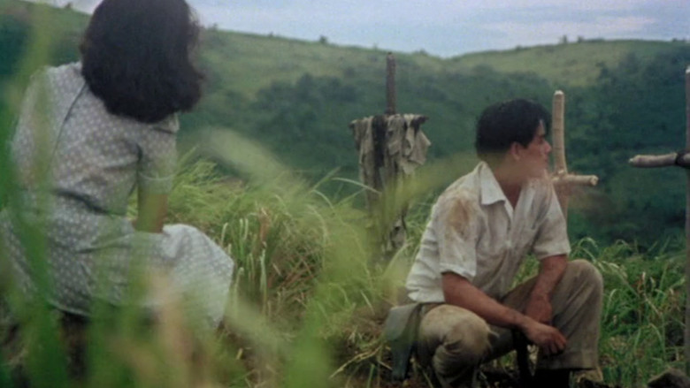 кадр из фильма Oro, Plata, Mata