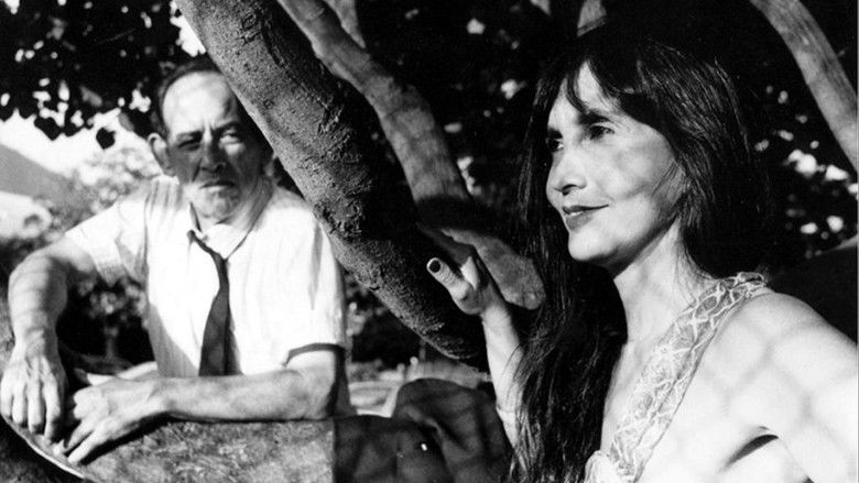 кадр из фильма Perigo Negro