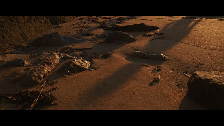 кадр из фильма Una playa