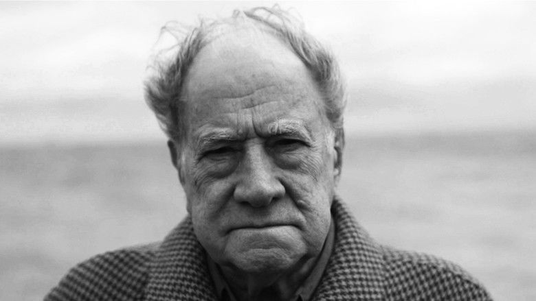 кадр из фильма Messenger on a White Horse