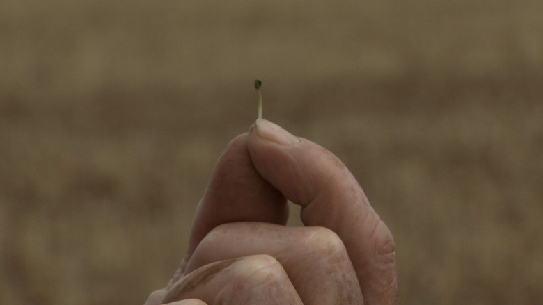 кадр из фильма Without Water