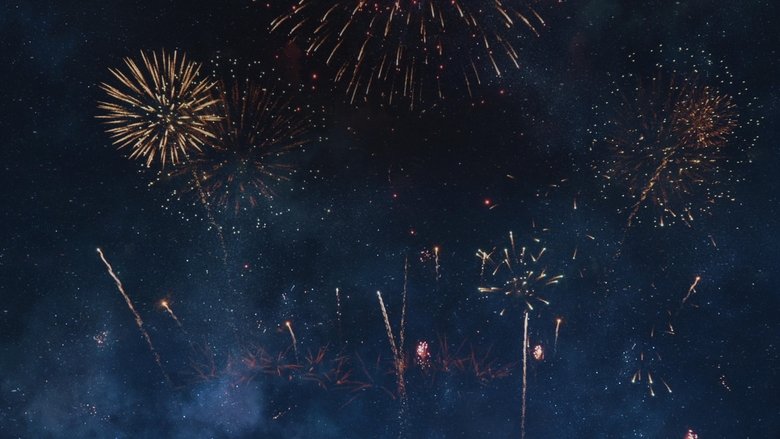 кадр из фильма House of Grucci