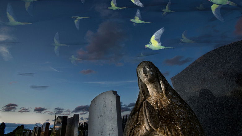 кадр из фильма Intermission