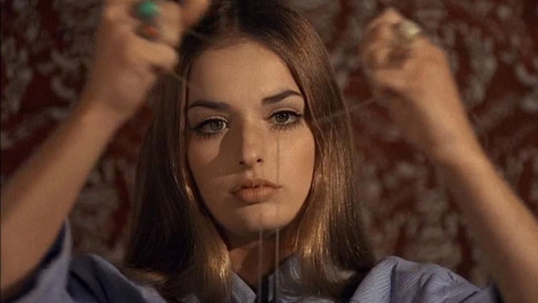 кадр из фильма Инквизиция