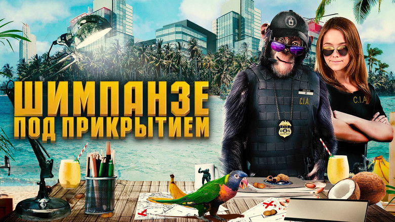 кадр из фильма Шимпанзе под прикрытием