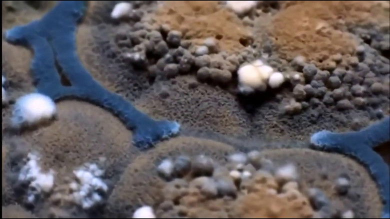 кадр из фильма Плесень