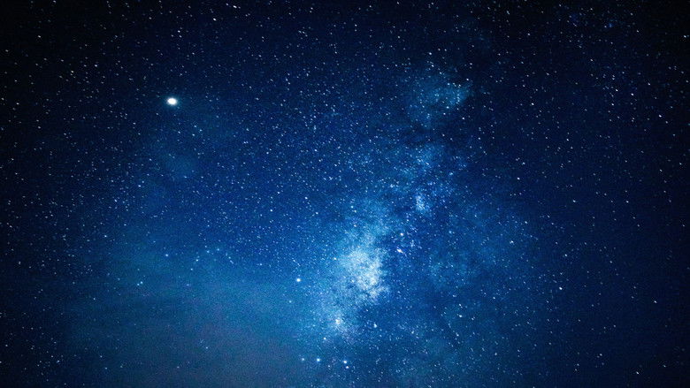 кадр из фильма Oda a un día de verano