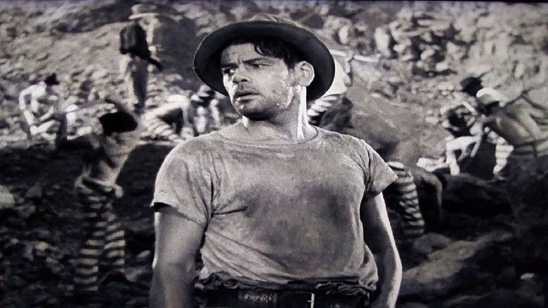 кадр из фильма Я – беглый каторжник