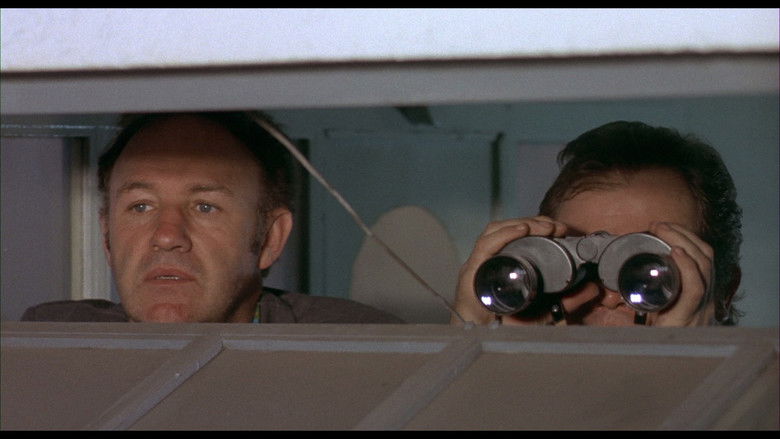 кадр из фильма Французский связной 2