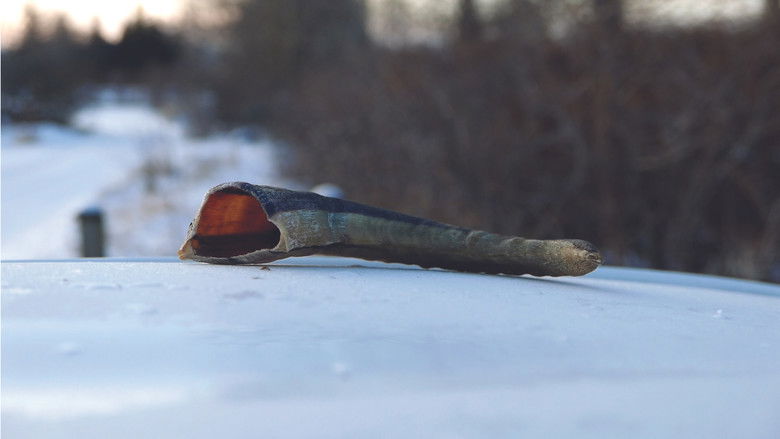 кадр из фильма Bloodbath