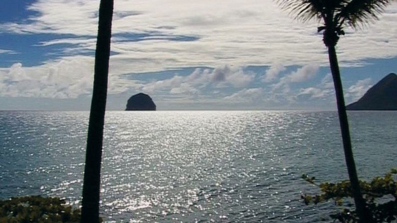 кадр из фильма Édouard Glissant: One World in Relation