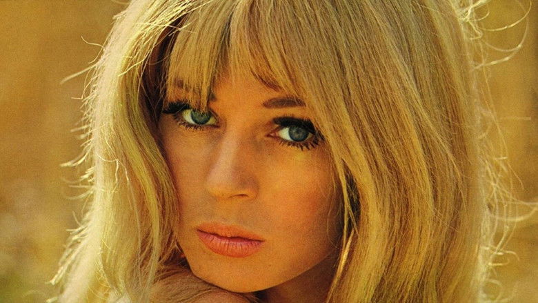 кадр из фильма Eddie & Suzanne