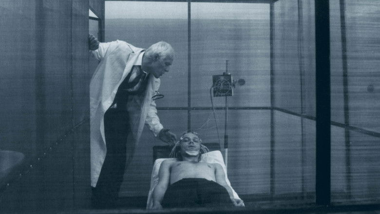 кадр из фильма Wojaczek