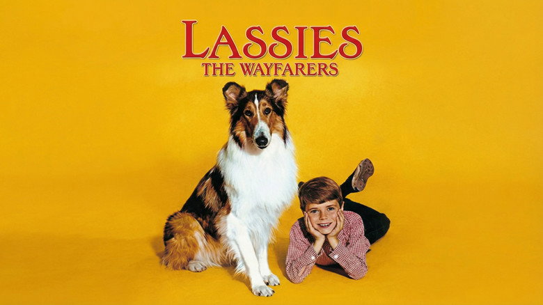 кадр из фильма Lassie: The Wayfarers