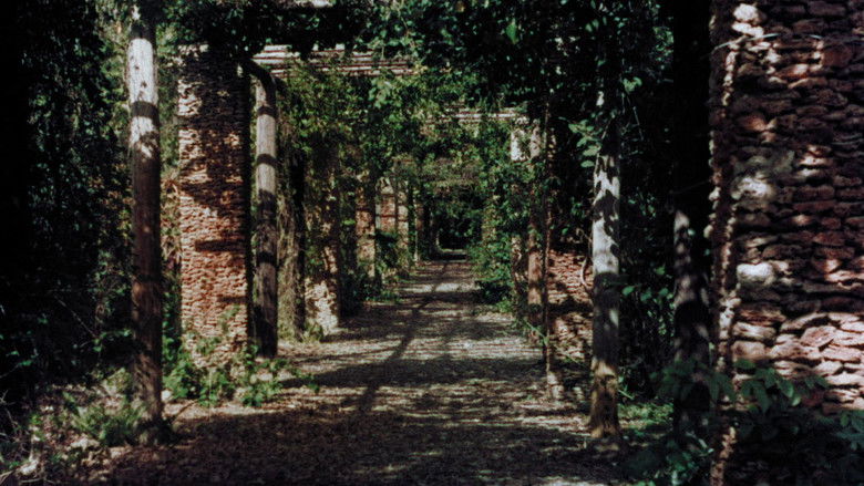 кадр из фильма The Prince and the Nature Girl