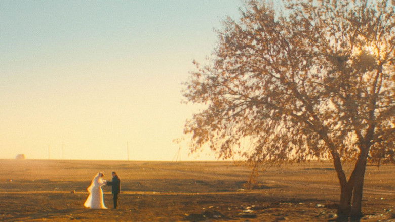 Однажды в Коргалжино