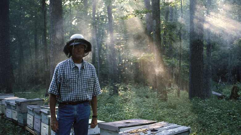 кадр из фильма Золото Ули