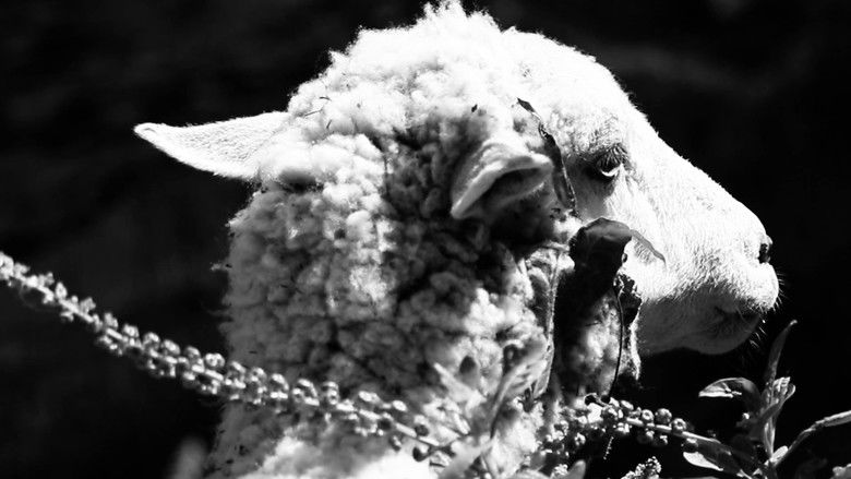 кадр из фильма Aguas Negras