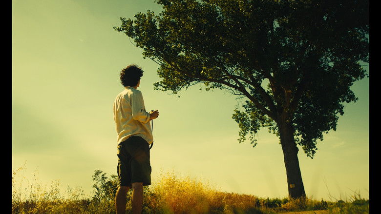 кадр из фильма 50mm