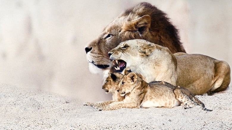 кадр из фильма Львиная династия