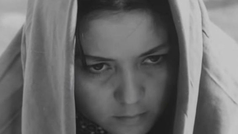 кадр из фильма Анор