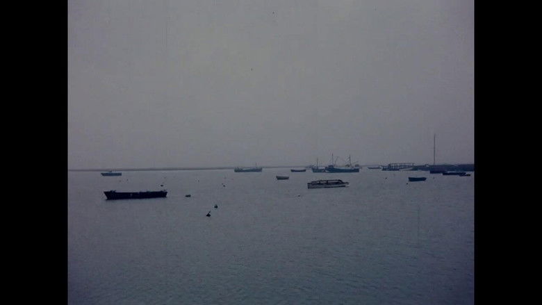 кадр из фильма Winter and Summer