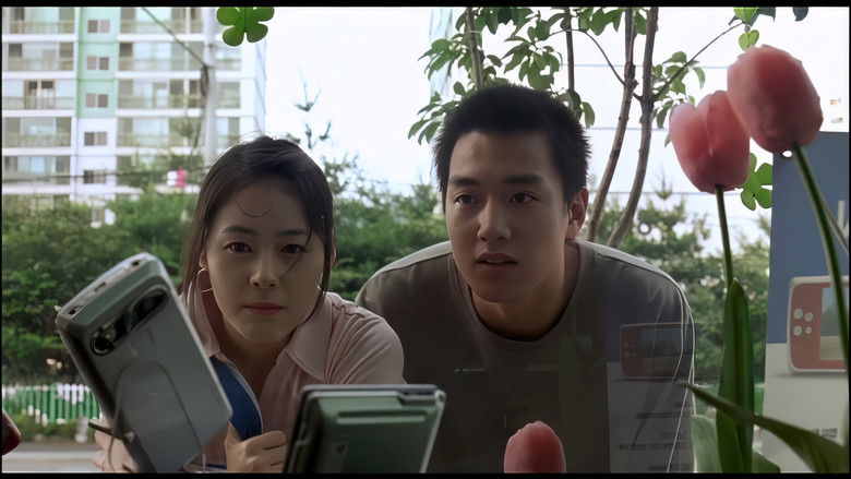 кадр из фильма 해바라기