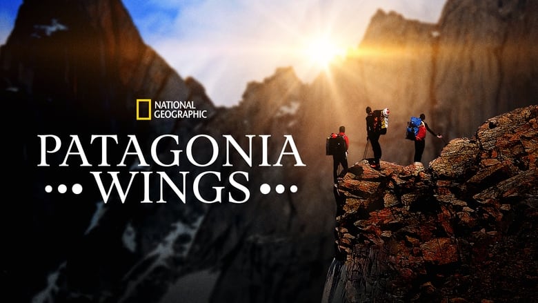 кадр из фильма Patagonia Wings