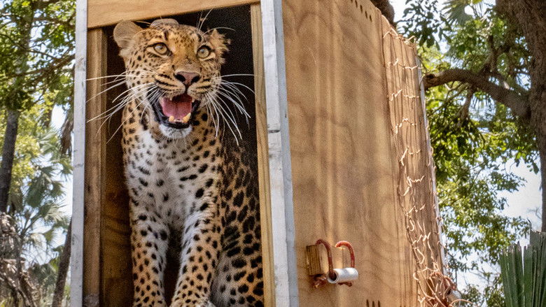 кадр из фильма Return of the Predators