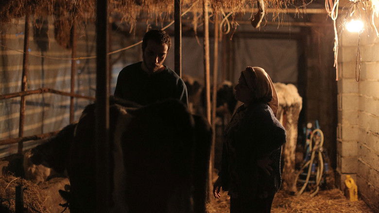 кадр из фильма Великий зевок истории