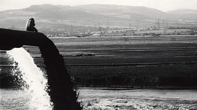 кадр из фильма Ropáci