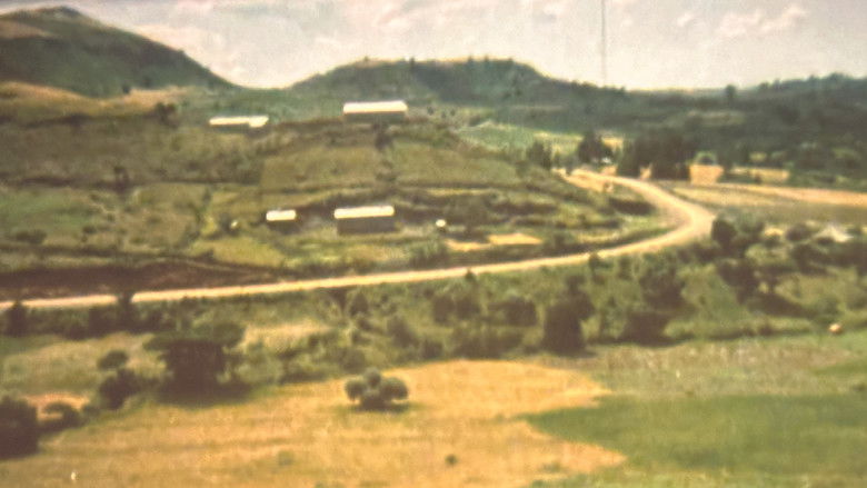 кадр из фильма Falasha: Agony of the Black Jews