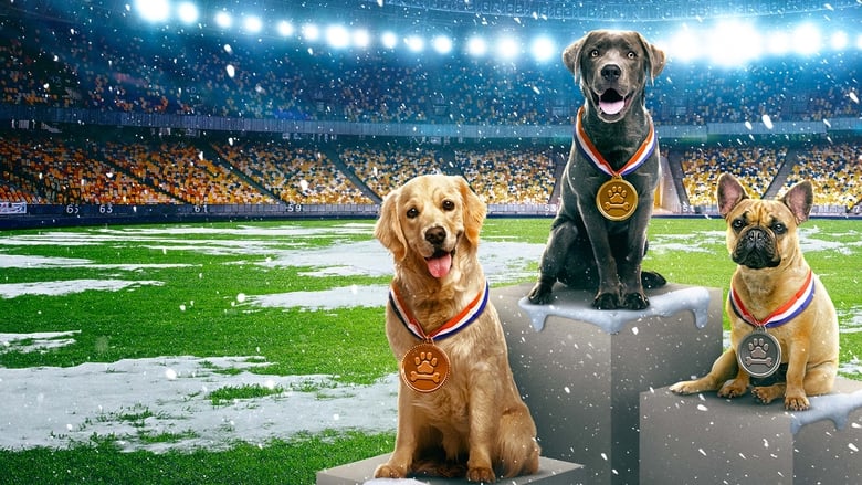 кадр из фильма Puppy Bowl Presents: The Winter Games