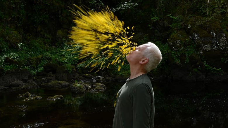 кадр из фильма Leaning Into the Wind: Andy Goldsworthy