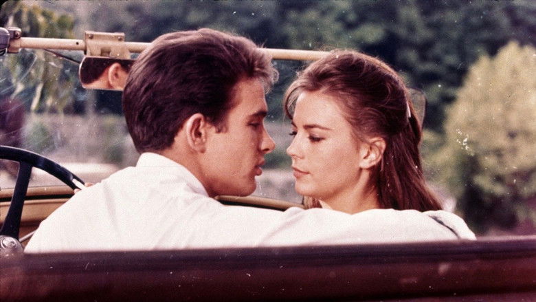 кадр из фильма Великолепие в траве