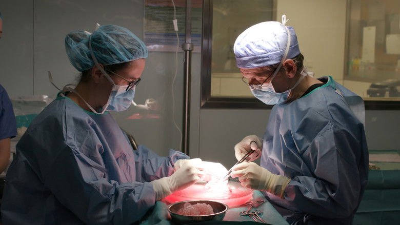 кадр из фильма El triangle rodó